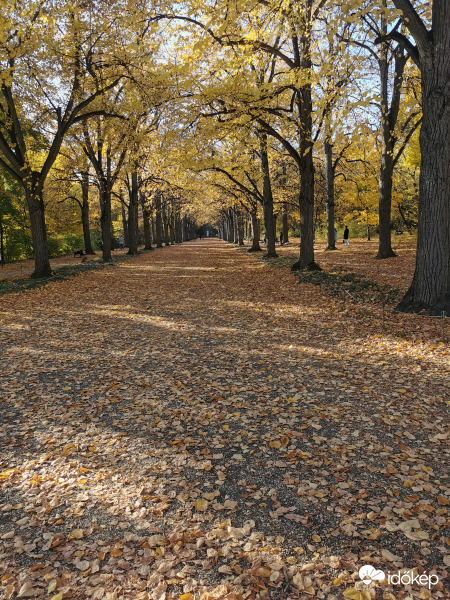 Erzsébet park 