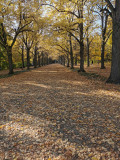 Erzsébet park 