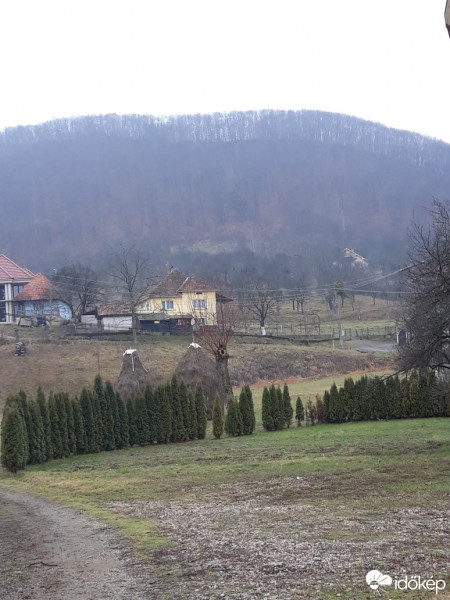 Cămărzana