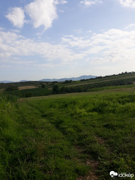 Călinești-Oaș