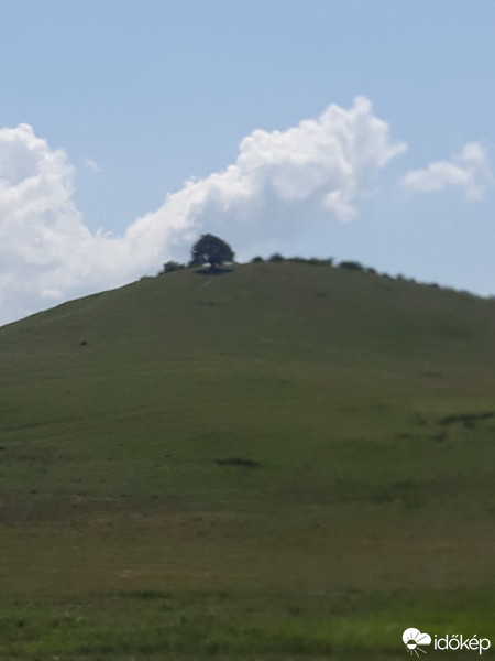 Negrești-Oaș