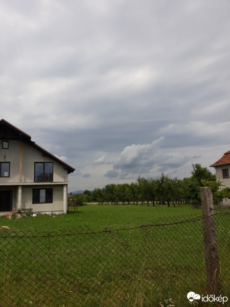 Negrești-Oaș