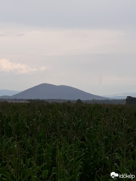 Sárközújlak