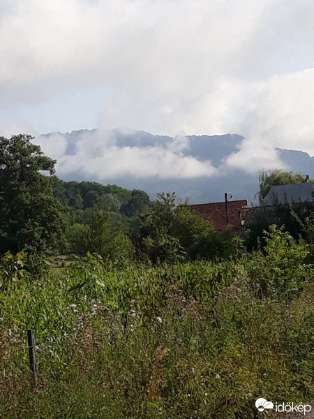 Negrești-Oaș