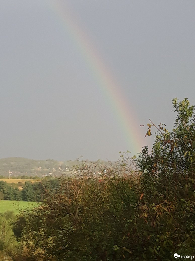 Negrești-Oaș