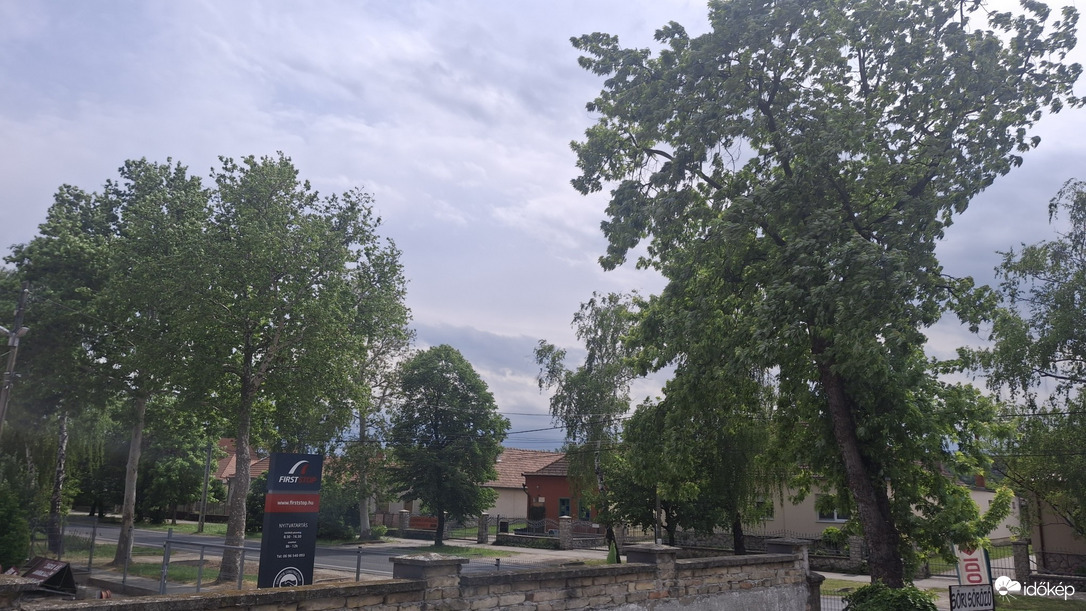 Nyúl