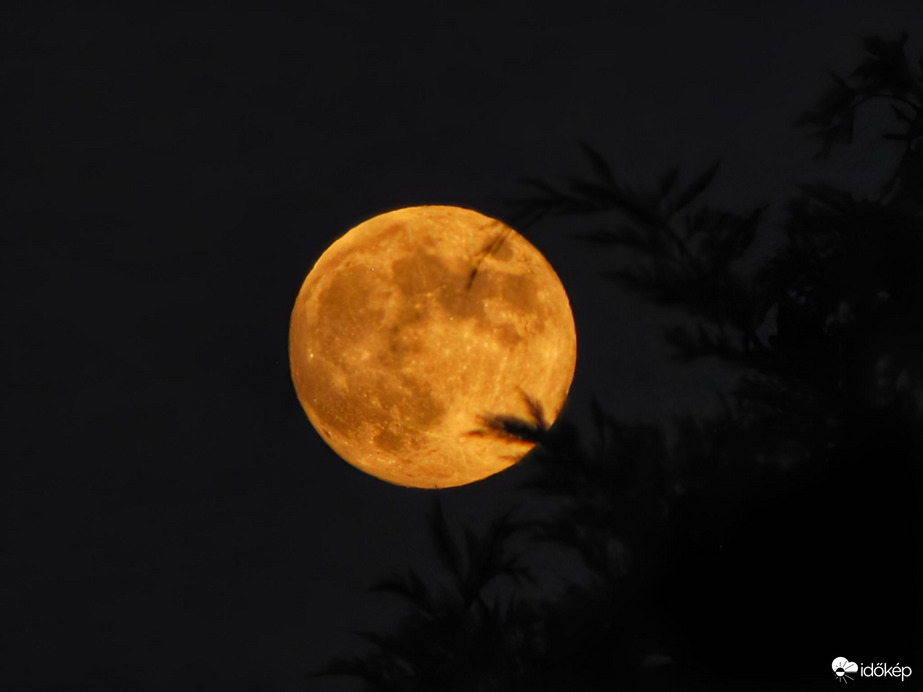 Már majdnem telihold! 12.07.