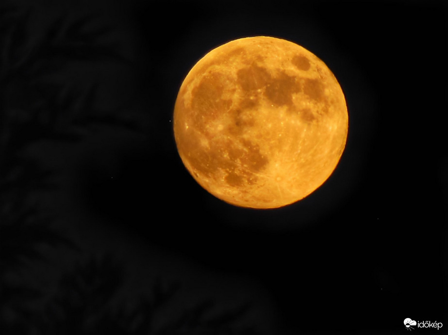 Már majdnem telihold! 12.07.