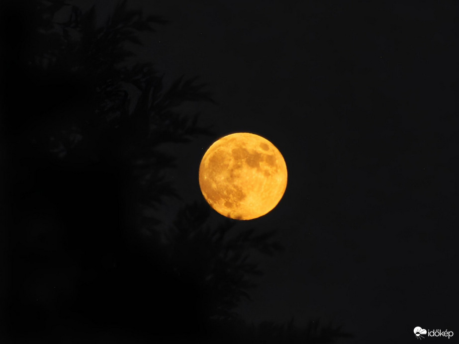 Már majdnem telihold! 12.07.