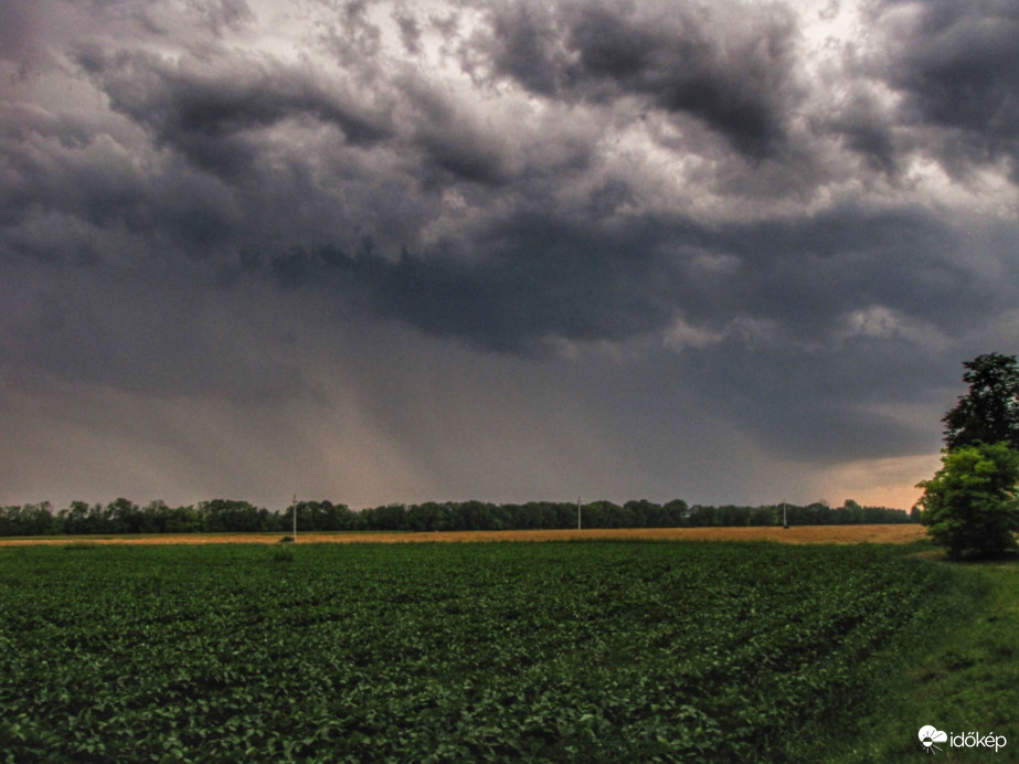 A szigetközi viharos