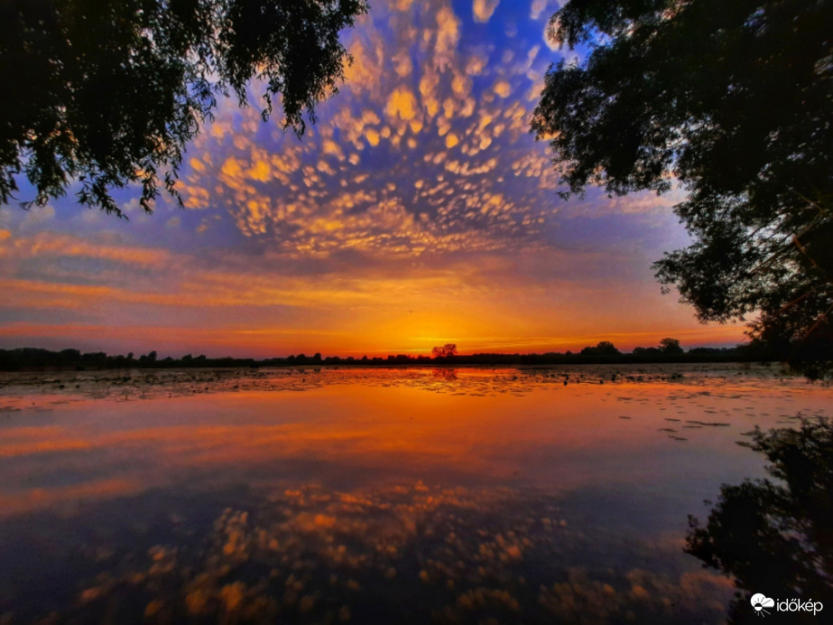 Tüzes mammák tükröződve