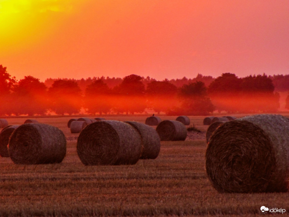 Bálák a napkeltében 1.