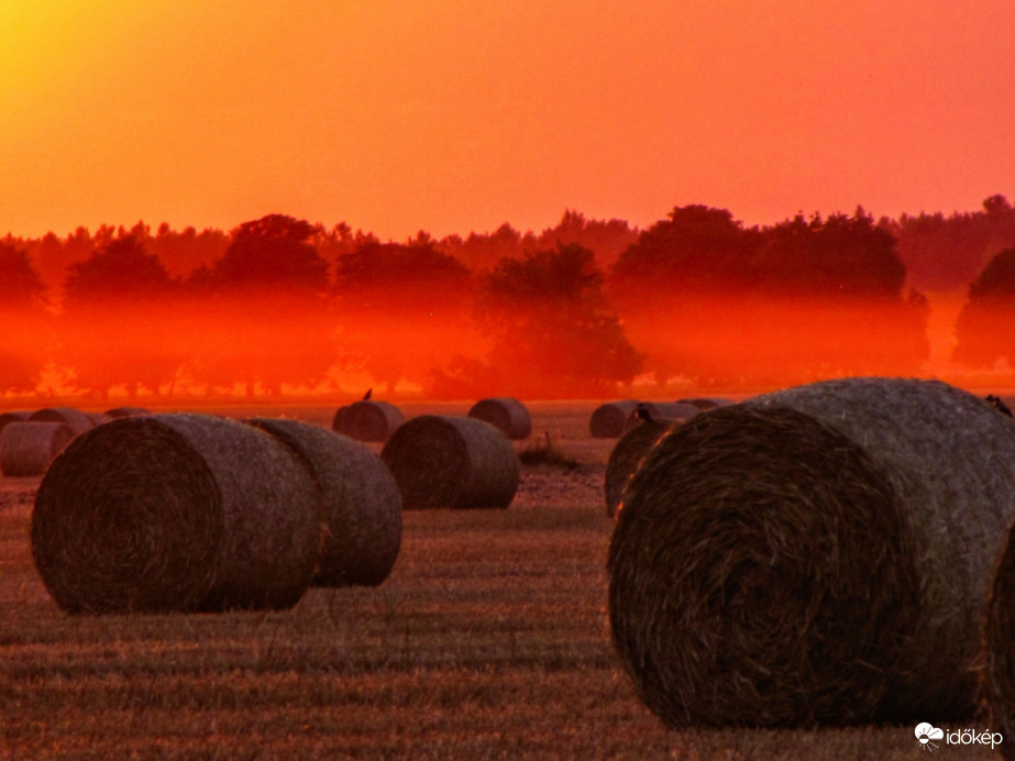 Bálák a napkeltében 2.