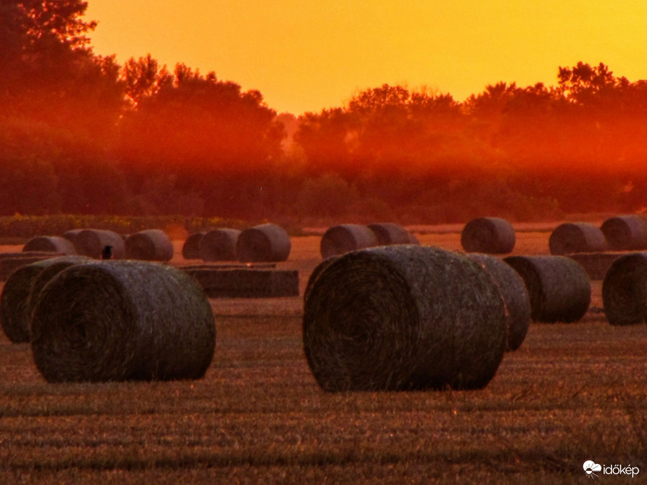 Bálák a napkeltében 4.