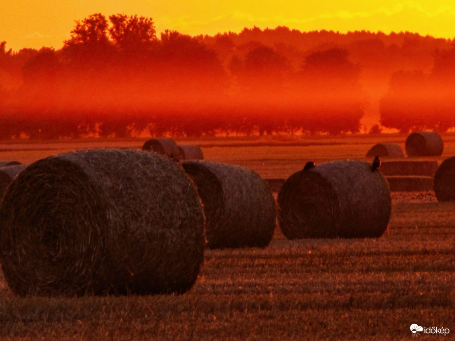 Bálák a napkeltében 3.