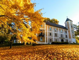 Szigetközi ősz