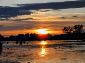 Szigetköz