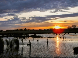 Szigetköz