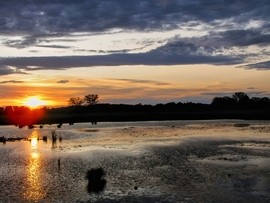 Szigetköz