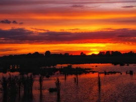 Szigetköz 