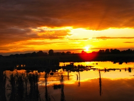 Szigetköz 