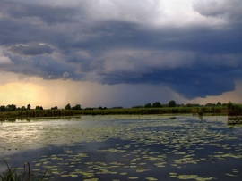 Szigetköz 