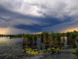 Szigetköz 