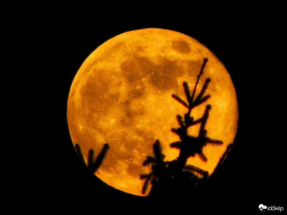 Az év első szigetközi teliholdja