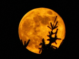 Az év első szigetközi teliholdja