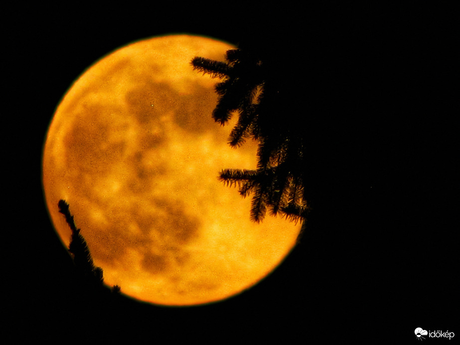 Az év első szigetközi teliholdja