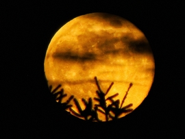 Az év első szigetközi teliholdja