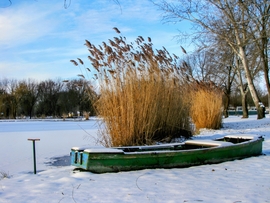 Hóba borult Szigetköz