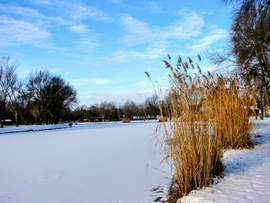 Hóba borult Szigetköz