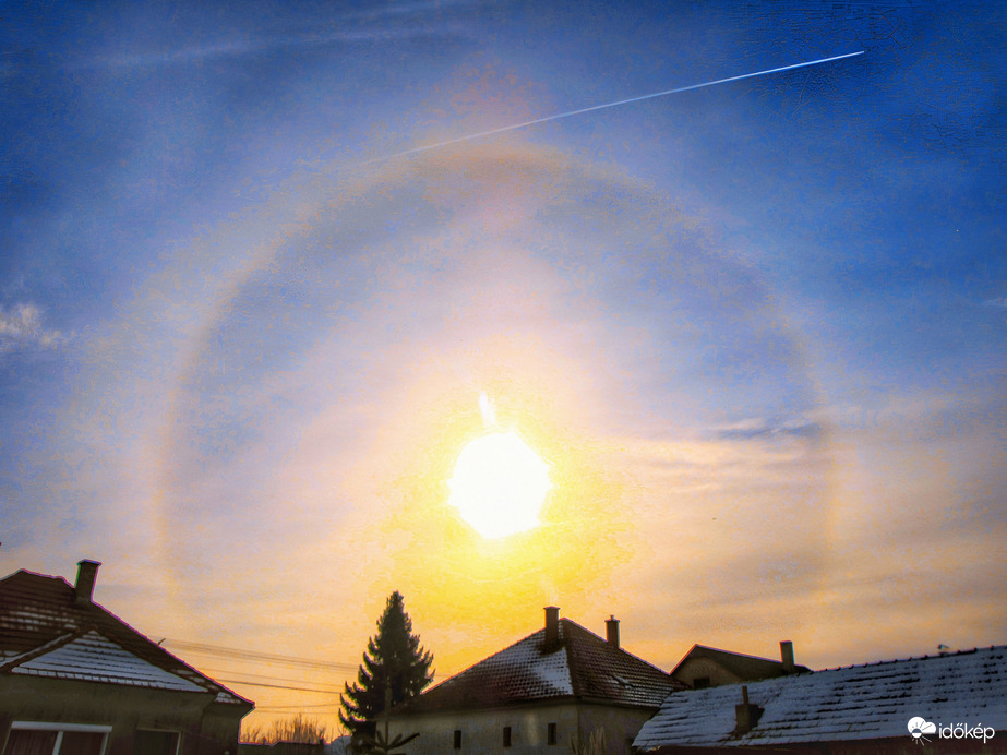 Szigetközi naphaló