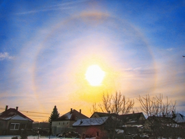 Szigetközi naphaló