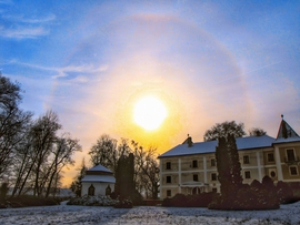 Szigetközi naphaló