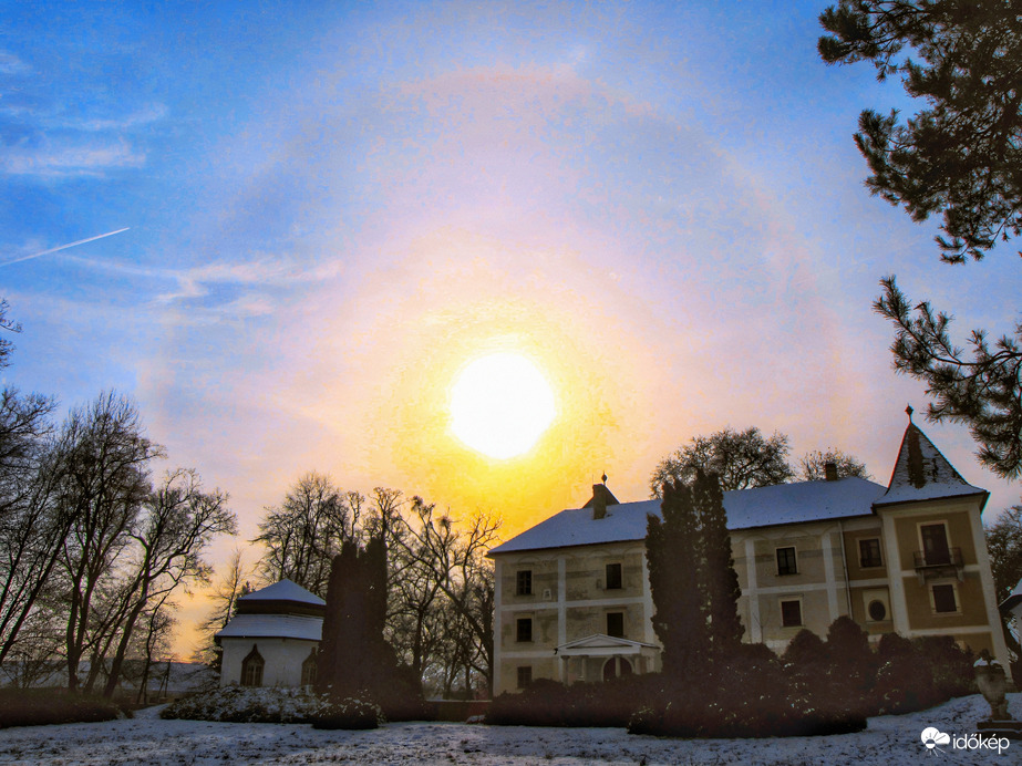 Szigetközi naphaló