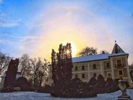 Szigetközi naphaló