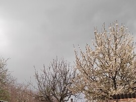 Súr