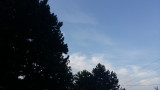 Érd