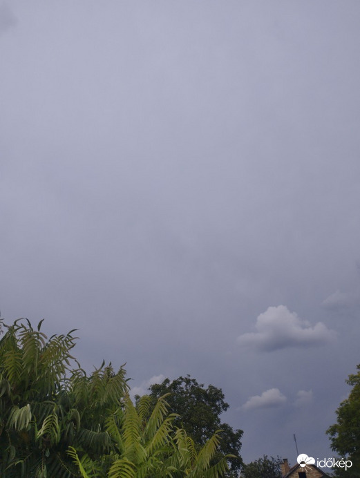 Бачка Топола