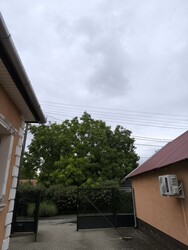 Izsák