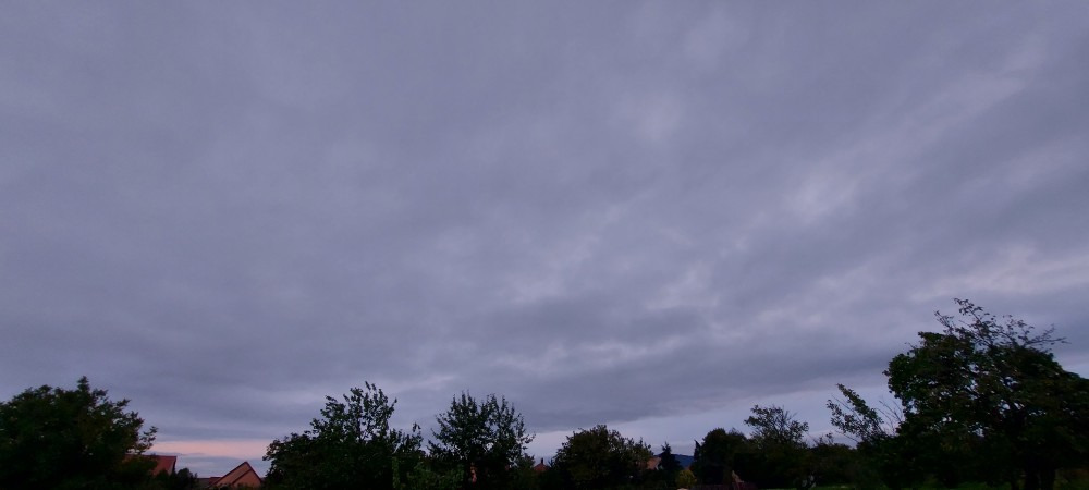 Szár