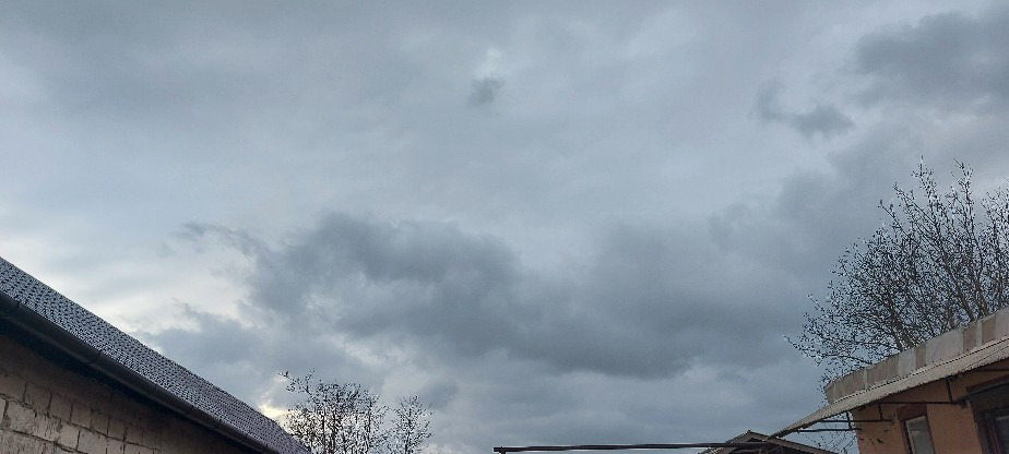 Szár