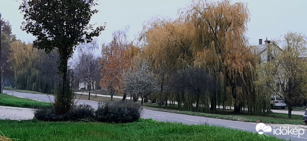 Szár