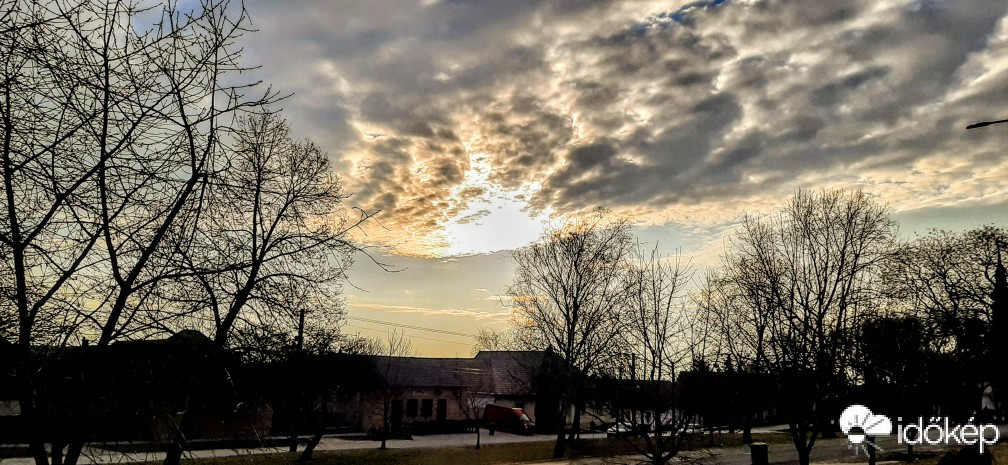 Szár