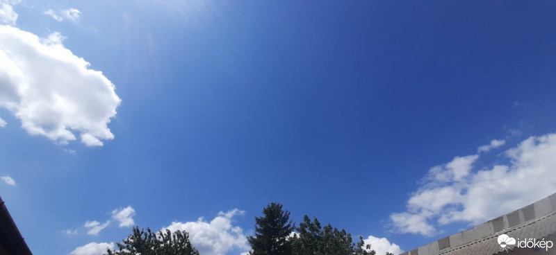 Szár