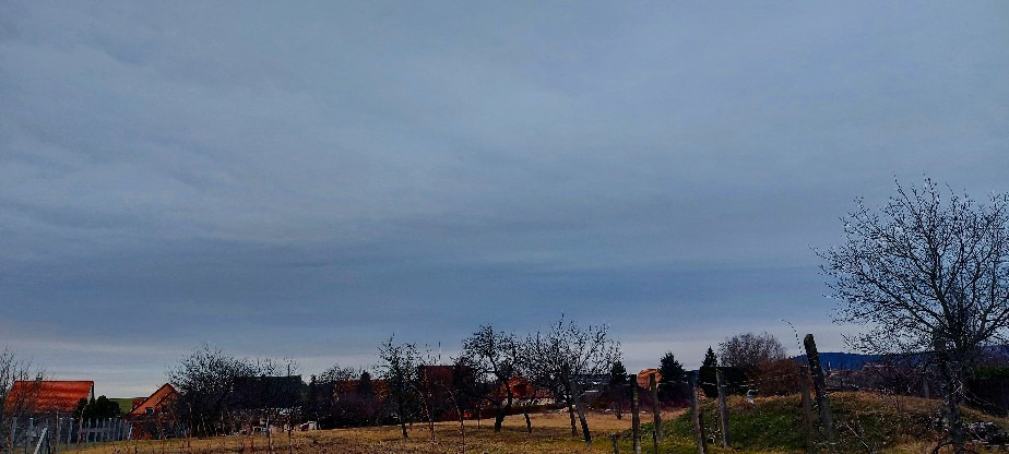 Szár