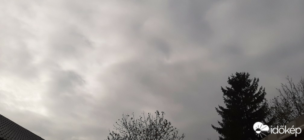 Szár