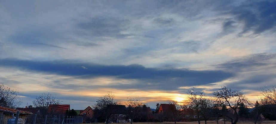 Szár